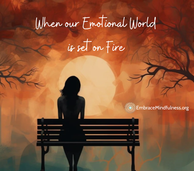 When our Emotional World is Set on Fire Embrace Mindfulness